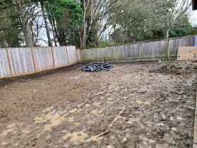 Back Yard2