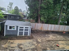 backyard-5-4-23